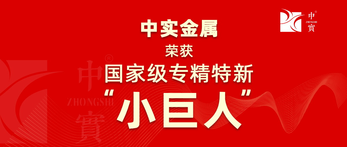 【喜讯】中(zhōng)实金属获评為(wèi)广东省第六批专精(jīng)特新(xīn)“小(xiǎo)巨人”企业
